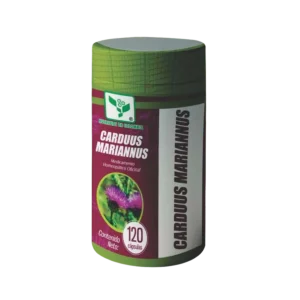 CARDUUS MARIANNUS